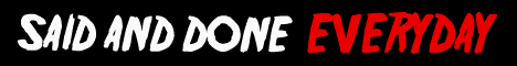 Said And Done - Everyday LP